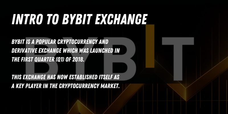 Introduction to Bybit Exchange, highlighting its launch in Q1 2018 and its prominence in cryptocurrency derivatives trading.