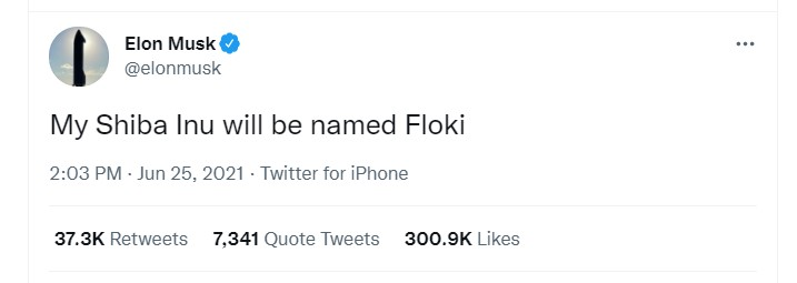 Elon Musk's tweet about naming his Shiba Inu Floki.