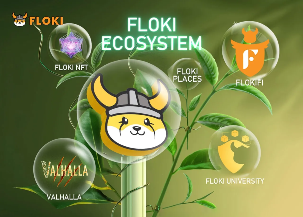 Floki ecosystem overview featuring Floki NFTs, FlokiFi, and Floki University.