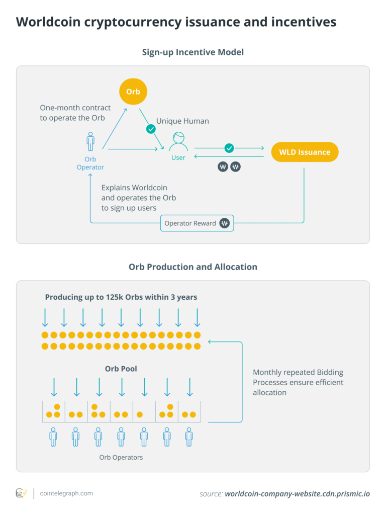 Worldcoin issuance and incentive model infographic.