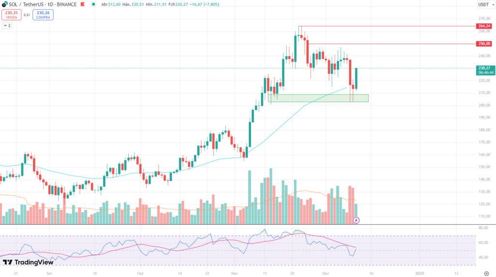 Solana's price action