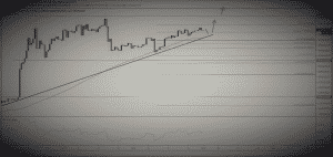 cripto mercado
