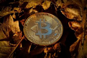 bitcoin halving valorização