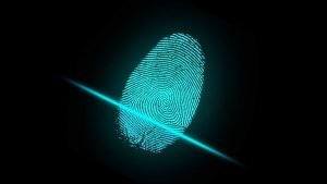 pirâmide unick polícia federal pf bitcoin indiciado