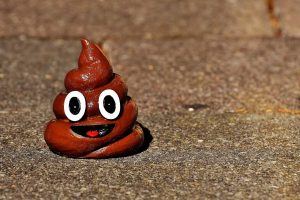 shitcoin poop token criptomoeda bitcoin
