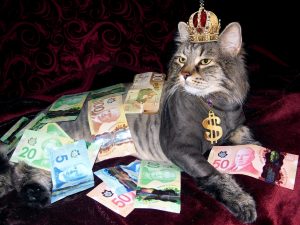 Conheça os 9 bilionários que possuem bitcoin