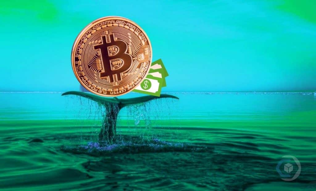 bitcoin-transação-dólar-maior-história-compra-venda-blockchain-baleia
