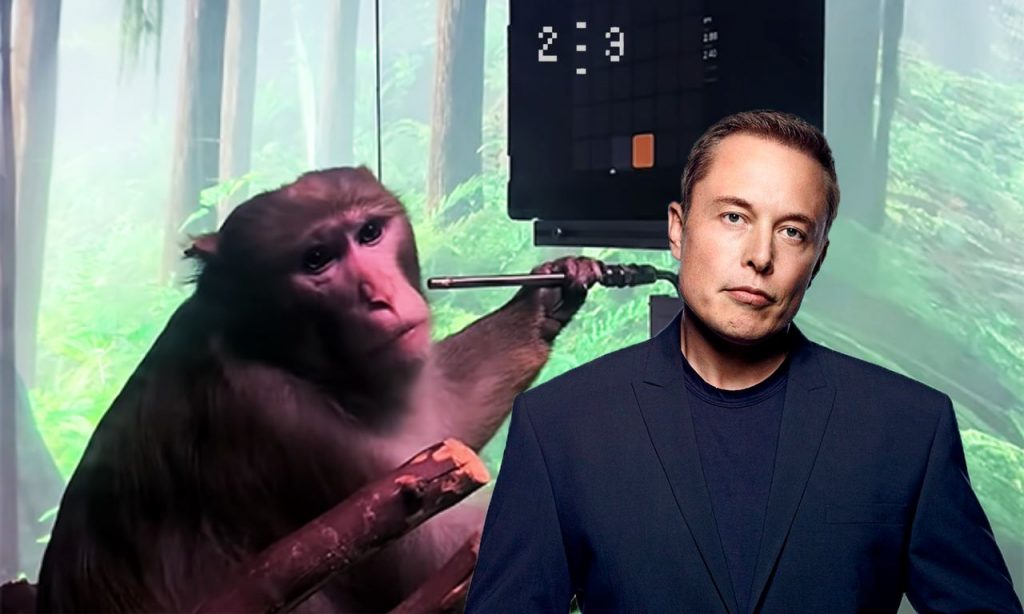 Elon Musk - metaverso