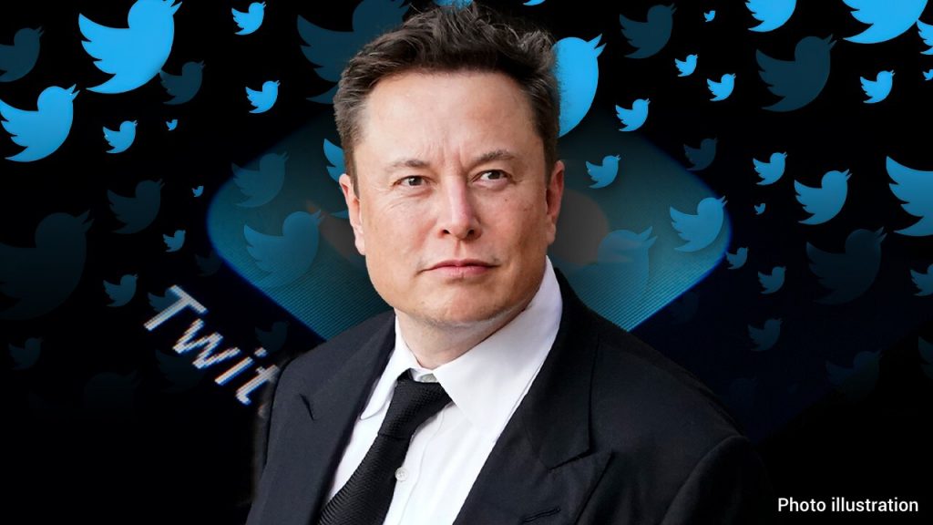 Elon Musk - Twitter Coin