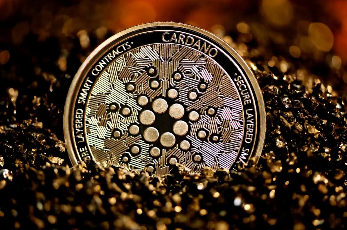 Cardano anuncia novo node e se aproxima do hard fork Chang