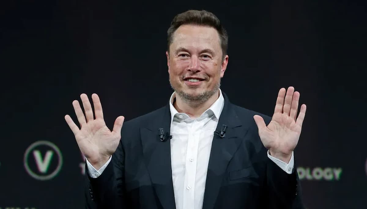 Em live, Elon Musk menciona Dogwifhat (WIF)