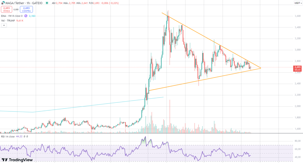 Analise do gráfico de uma hora da memecoin TRUMP.