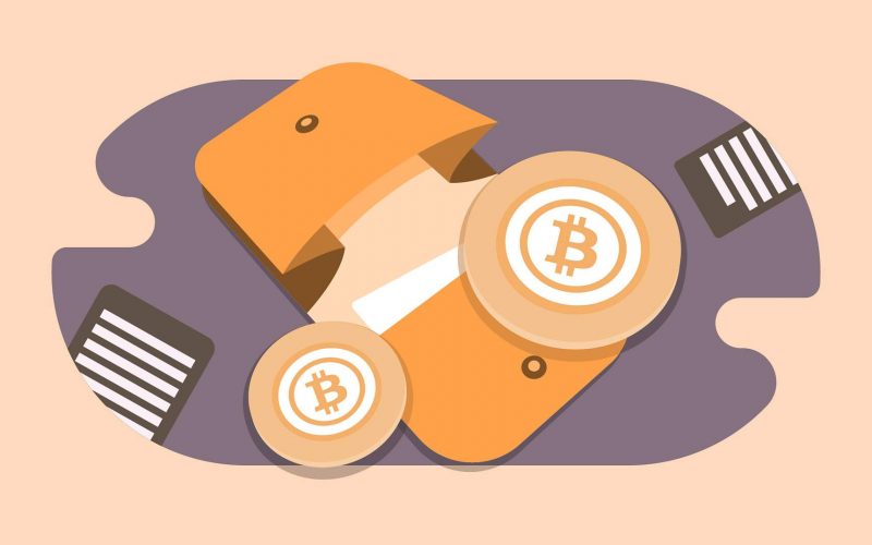 bitcoin-carteira carteira bitcoin